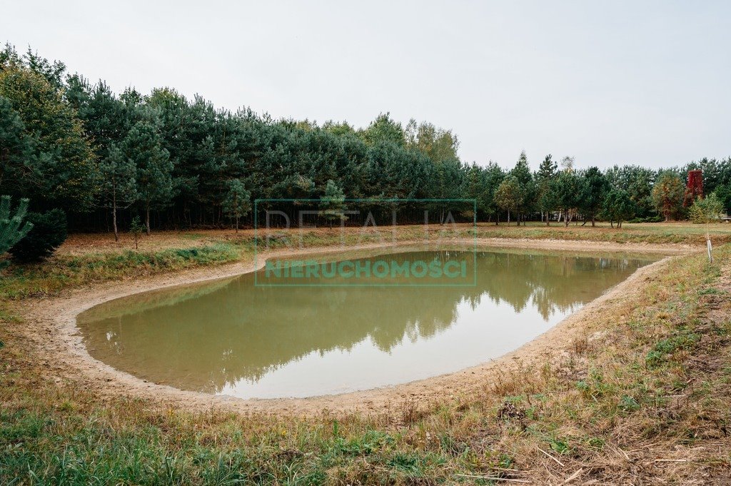 Działka budowlana na sprzedaż Podlasie  12 000m2 Foto 9