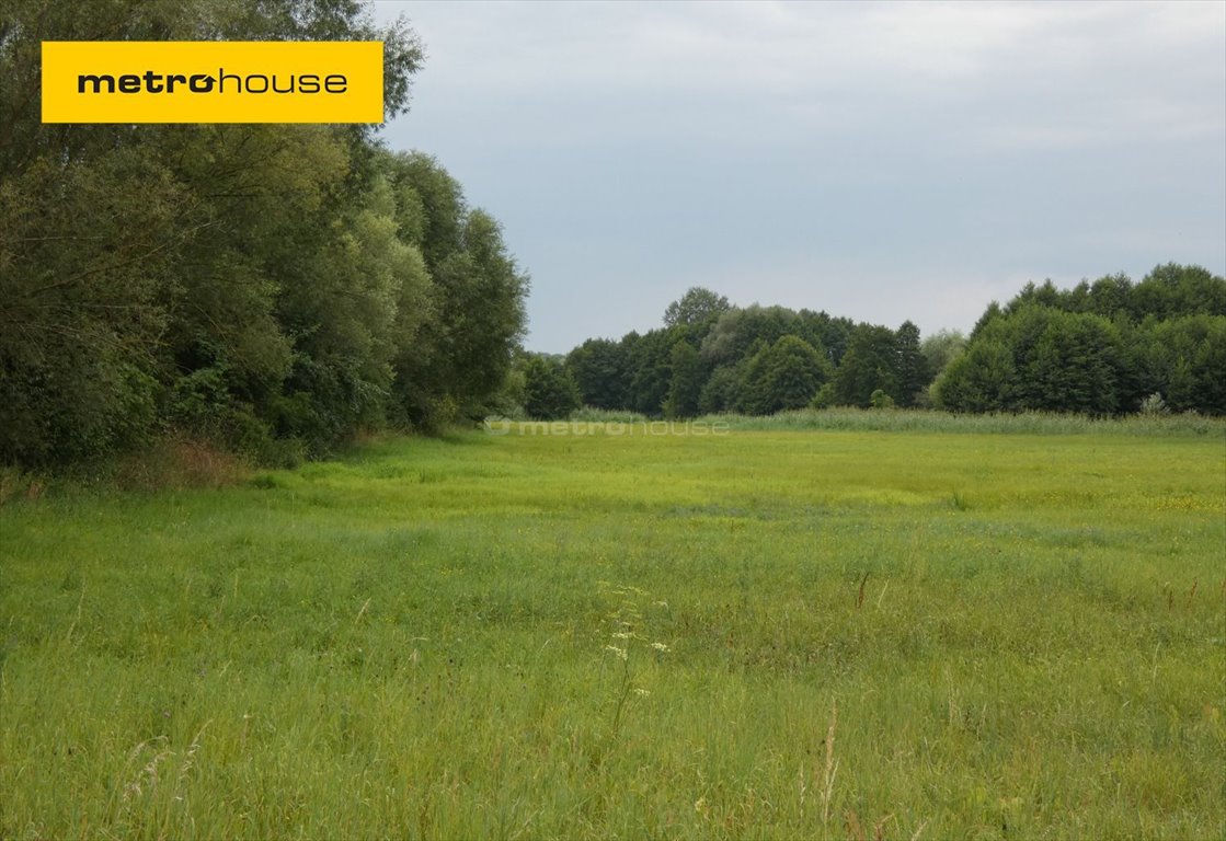 Działka siedliskowa na sprzedaż Secymin Polski  3 000m2 Foto 1