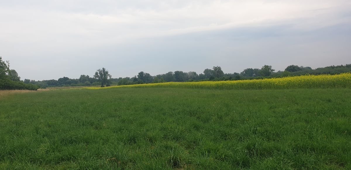 Działka rolna na sprzedaż Zambrzyniec, Zambrzyniec  14 100m2 Foto 1