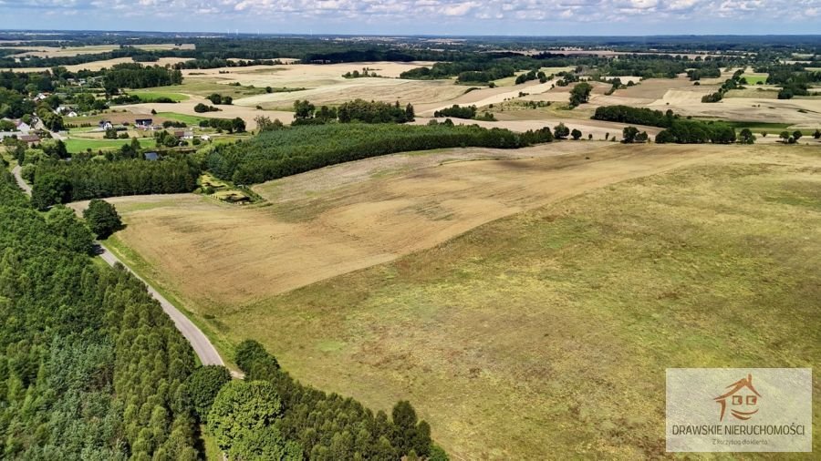 Działka rolna na sprzedaż Linowno, Linowno  61 000m2 Foto 9