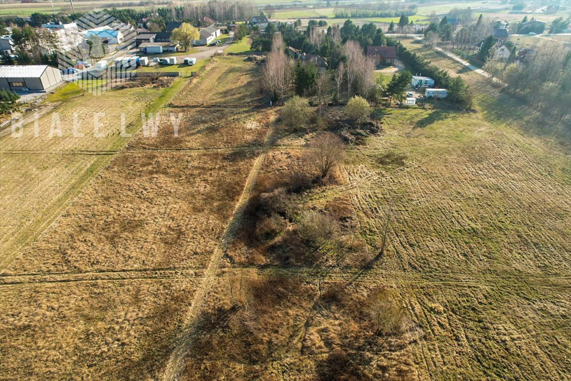 Działka budowlana na sprzedaż Wilcza Góra, Polna  2 519m2 Foto 2