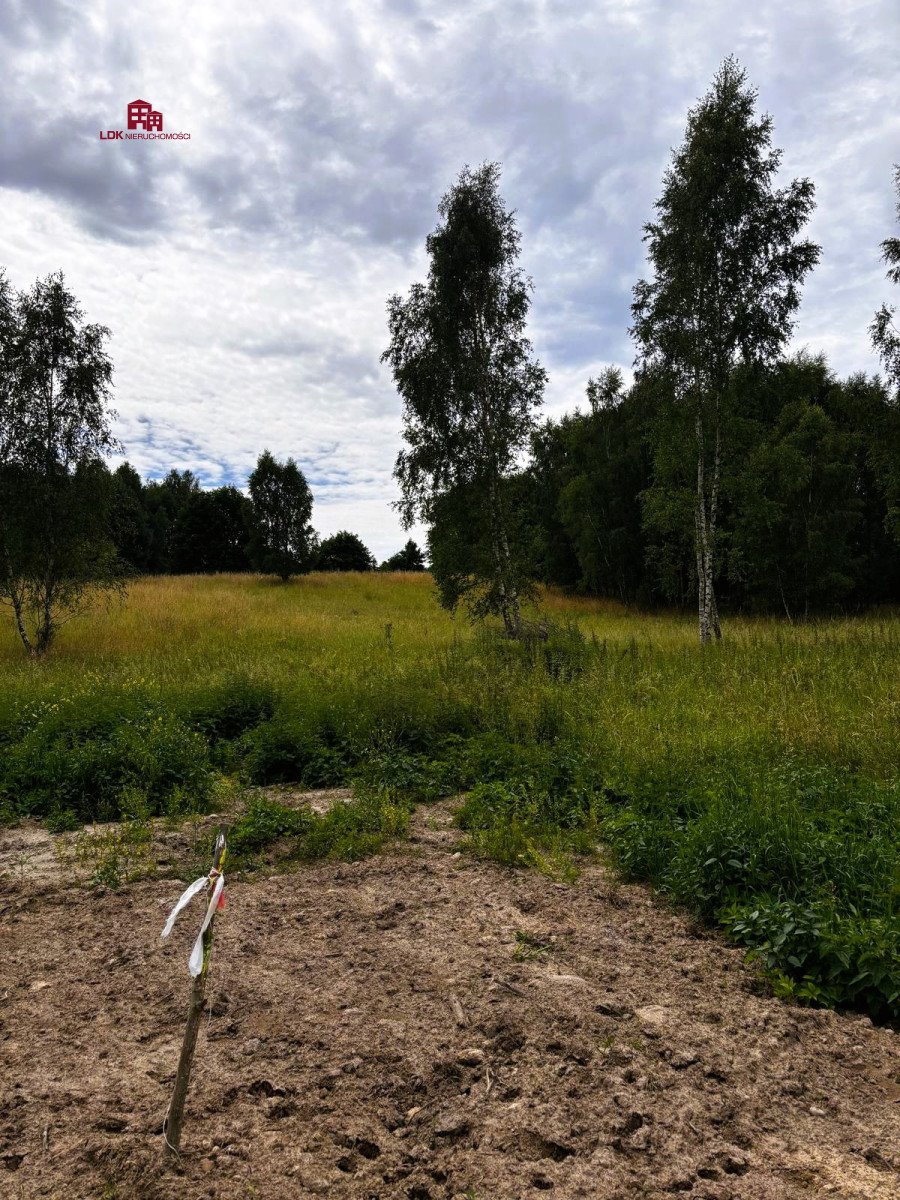 Działka budowlana na sprzedaż Graniczna Wieś, Jarzębinowa  6 445m2 Foto 7