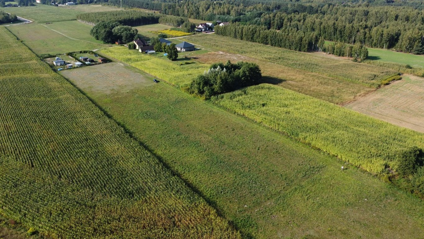 Działka rolna na sprzedaż Feliksów  5 568m2 Foto 8