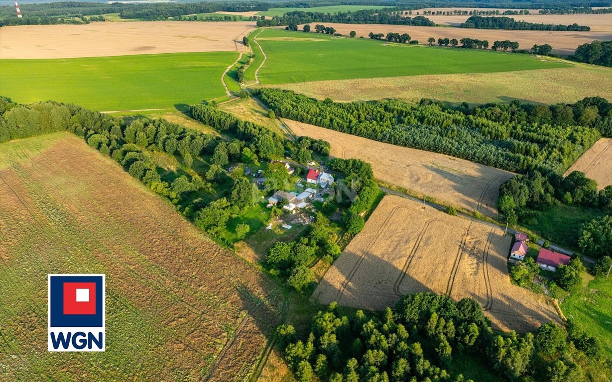 Działka siedliskowa na sprzedaż Dargoleza, Dargoleza  4 520m2 Foto 9