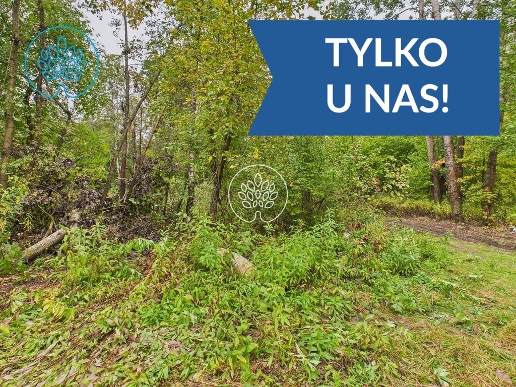 Działka inwestycyjna na sprzedaż Kiełpiny  34 700m2 Foto 1