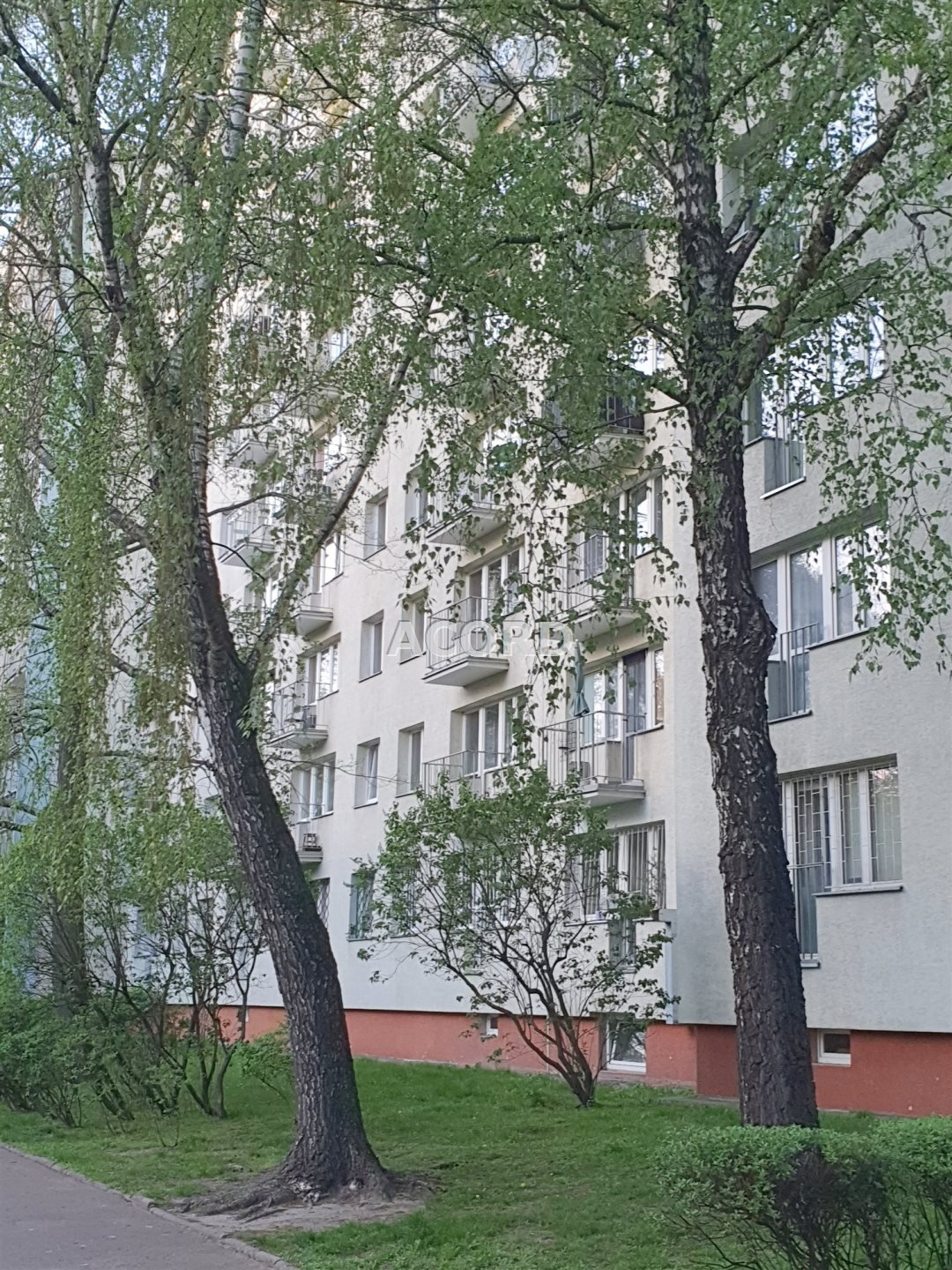 Mieszkanie trzypokojowe na sprzedaż Warszawa, Mokotów, Mokotów, Katalońska  56m2 Foto 3