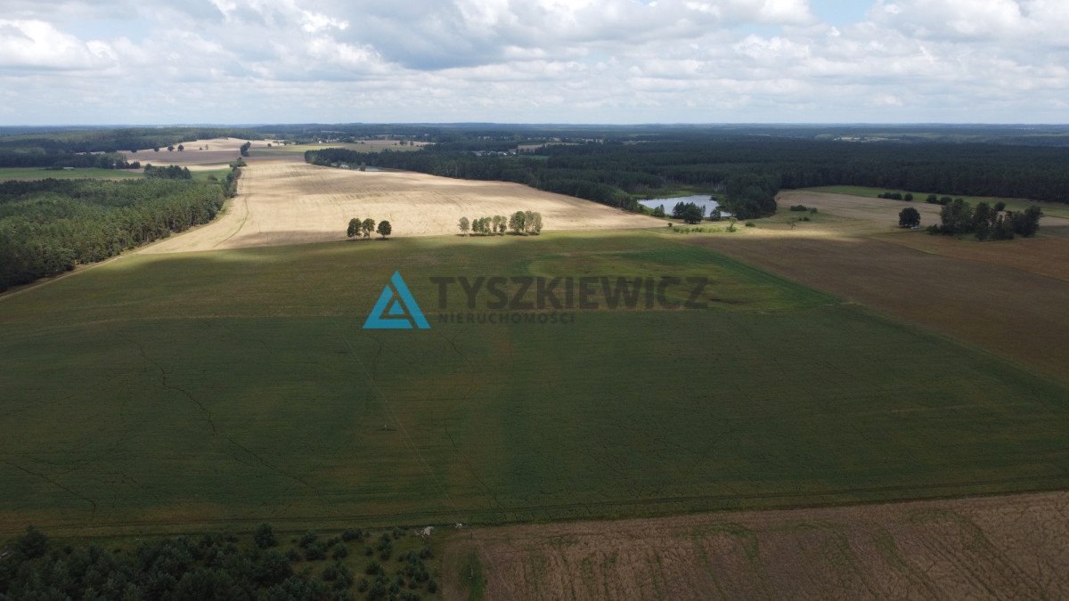 Działka rolna na sprzedaż Brzezinka  35 700m2 Foto 10