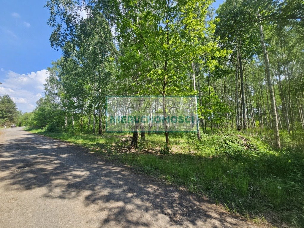 Działka 1200 m² w Kozerkach z mediami i MPZP Kozerki  1 200m2 Foto 1