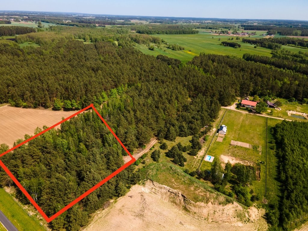 Działka inna na sprzedaż Sulęcin-Kolonia  4 400m2 Foto 4