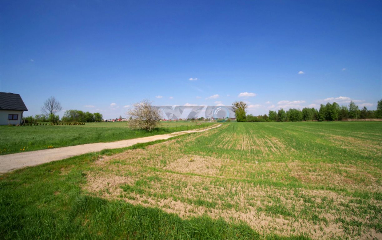 Działka budowlana na sprzedaż Wojszyn, Wojszyn  6 000m2 Foto 6