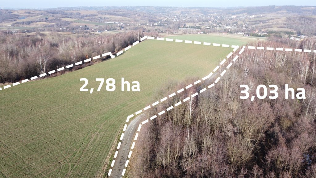 Działka inna na sprzedaż Nowy Borek  58 175m2 Foto 1