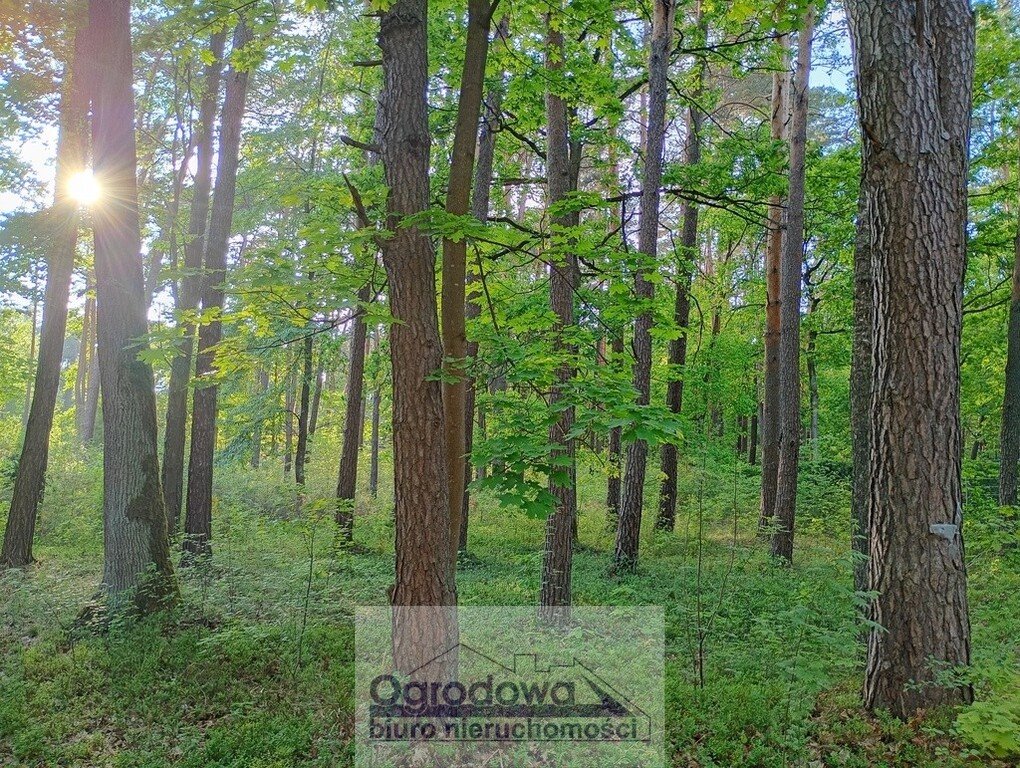 Działka 1800 m² w Magdalence - media, las, szybki dojazd Magdalenka  1 800m2 Foto 1