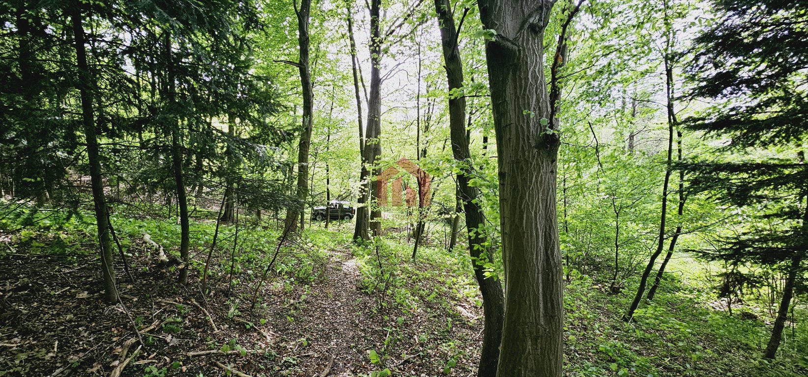 Działka leśna na sprzedaż Ropczyce, Chechły  11 000m2 Foto 1