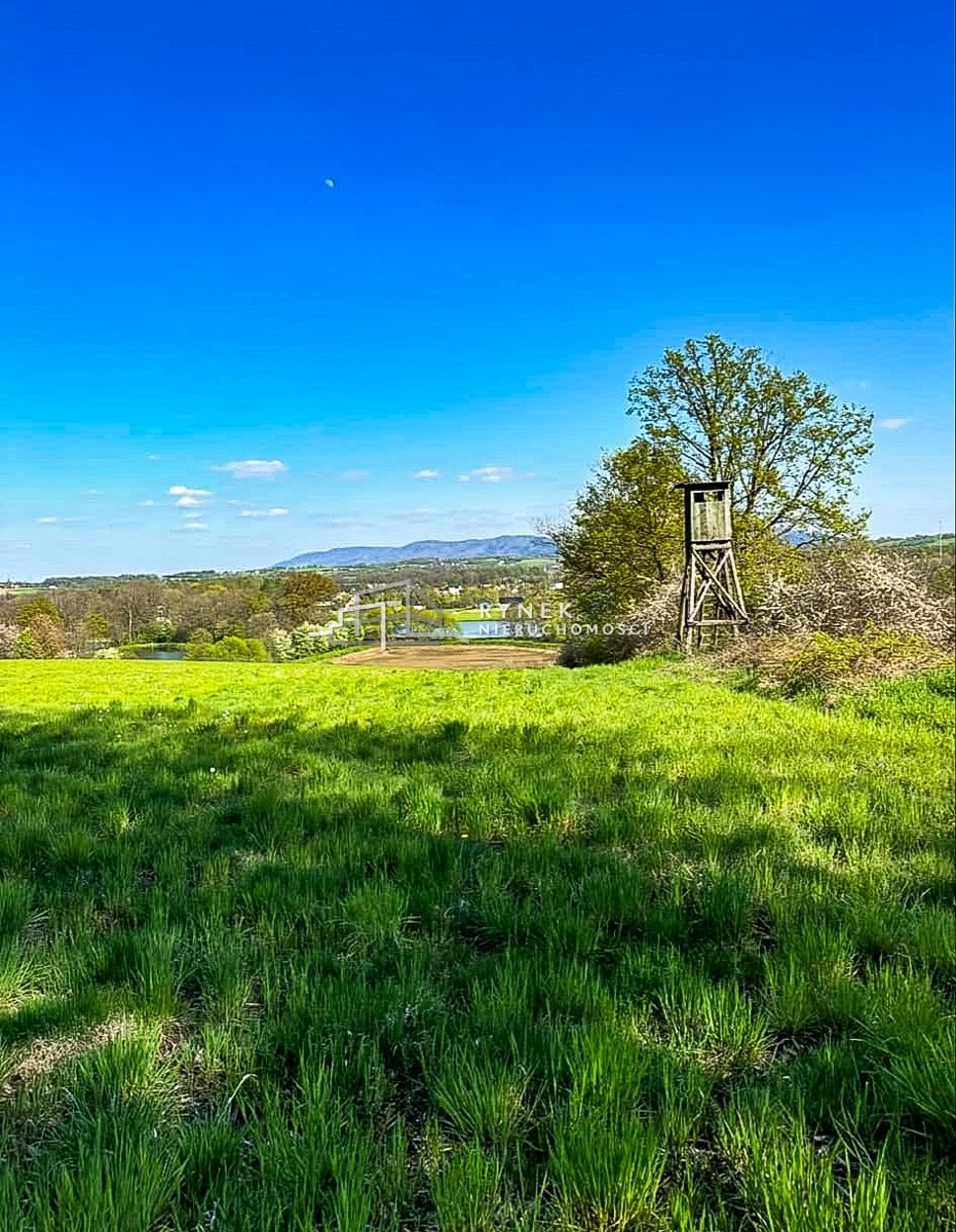 Działka inna na sprzedaż Międzyrzecze Dolne  3 030m2 Foto 1