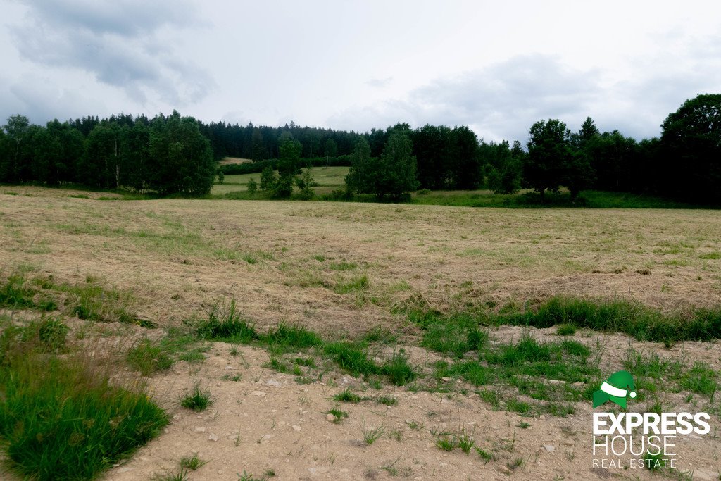 Działka budowlana na sprzedaż Stronie Śląskie, Polna  2 617m2 Foto 14