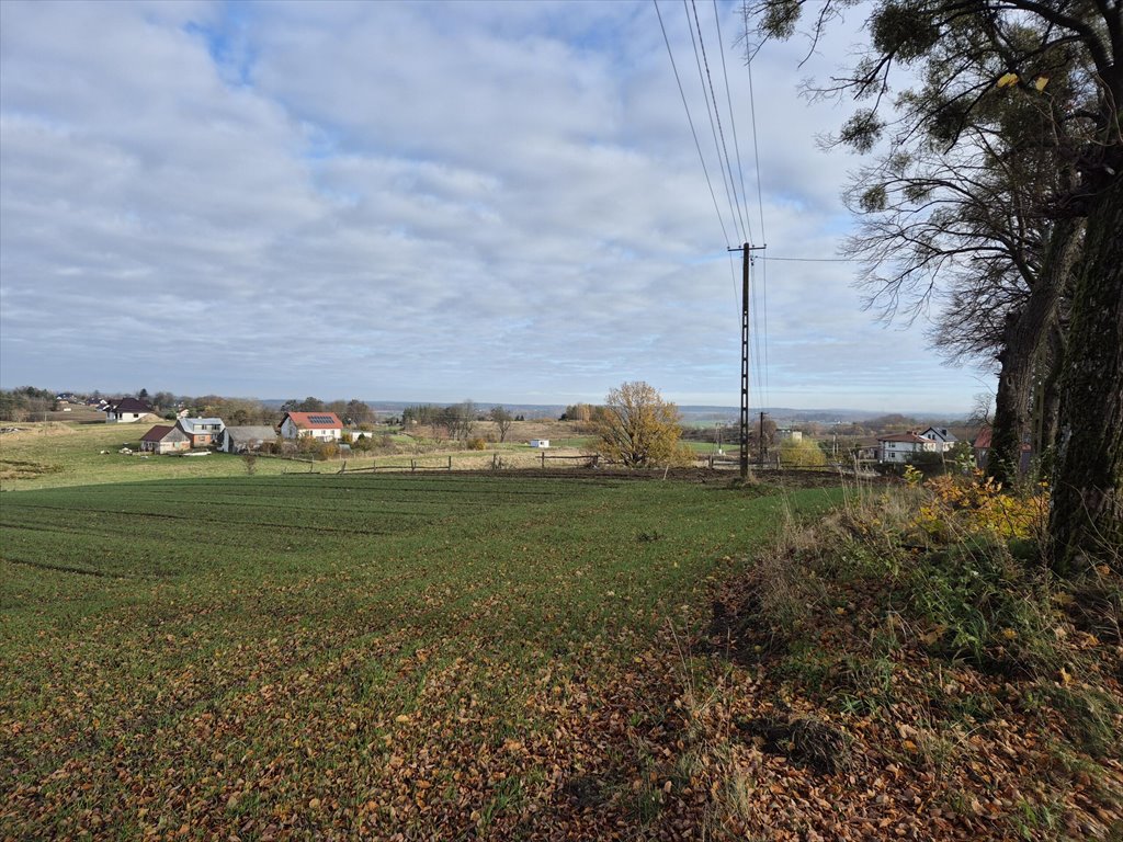 Działka budowlana na sprzedaż Barłomino  10 400m2 Foto 15