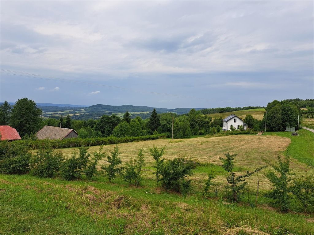 Działka rolna na sprzedaż Niebocko  2 860m2 Foto 1