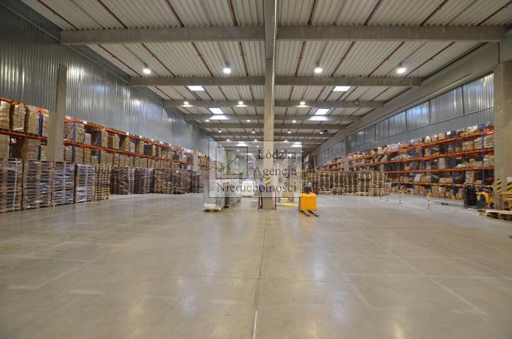 Lokal użytkowy na wynajem Piotrków Trybunalski  2 600m2 Foto 5