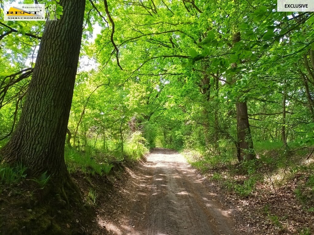 Działka rolna na sprzedaż Binowo  47 625m2 Foto 11