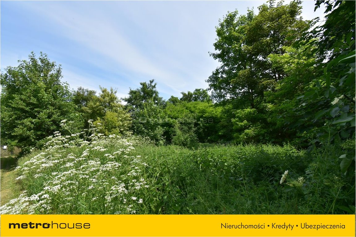 Sprzedam Dzia k Ferdynand w P czniew 1800 M2 90000 PLN Domiporta pl sprzedam-dzia-k-ferdynand-w-p-czniew-1800-m2-90000-pln-domiporta-pl