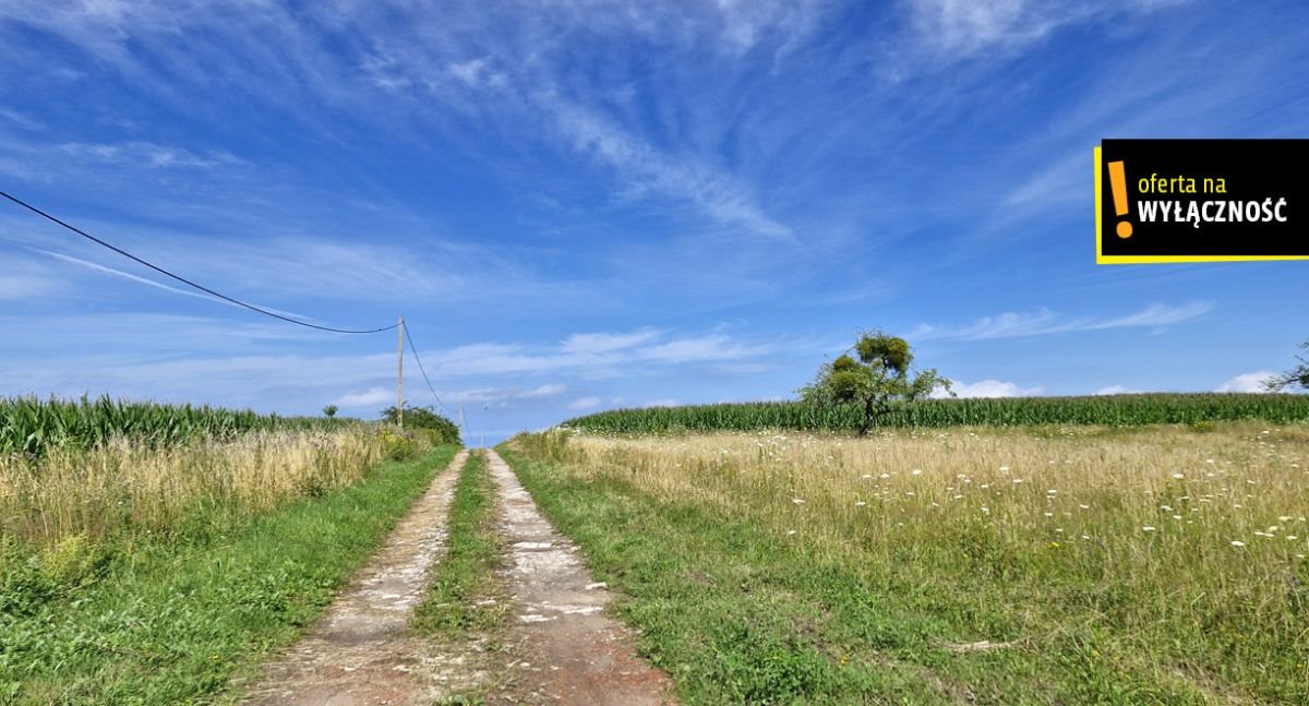 Działka rolna na sprzedaż Łęcze  26 900m2 Foto 6