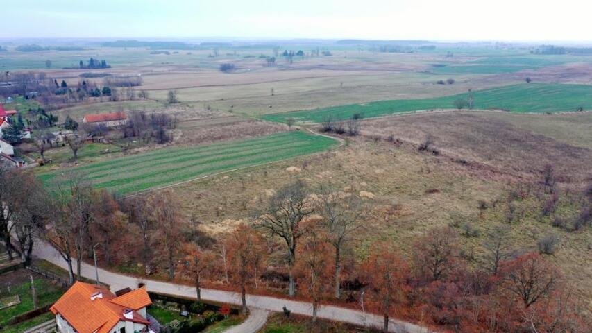 Działka budowlana na sprzedaż Woźnice  1 285m2 Foto 10