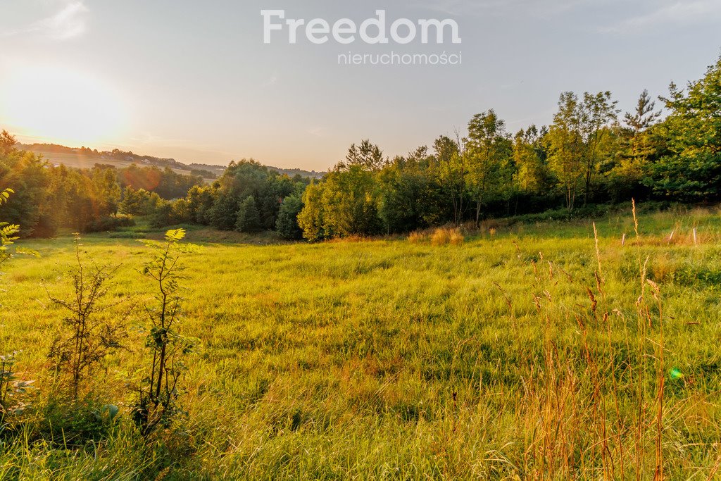 Działka budowlana na sprzedaż Zabłędza  9 218m2 Foto 5