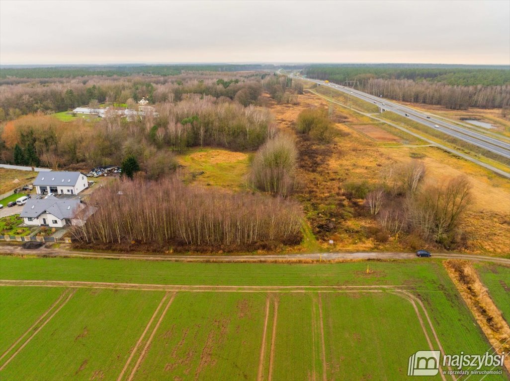 Działka rolna na sprzedaż Żółwia Błoć, Wieś  23 800m2 Foto 5