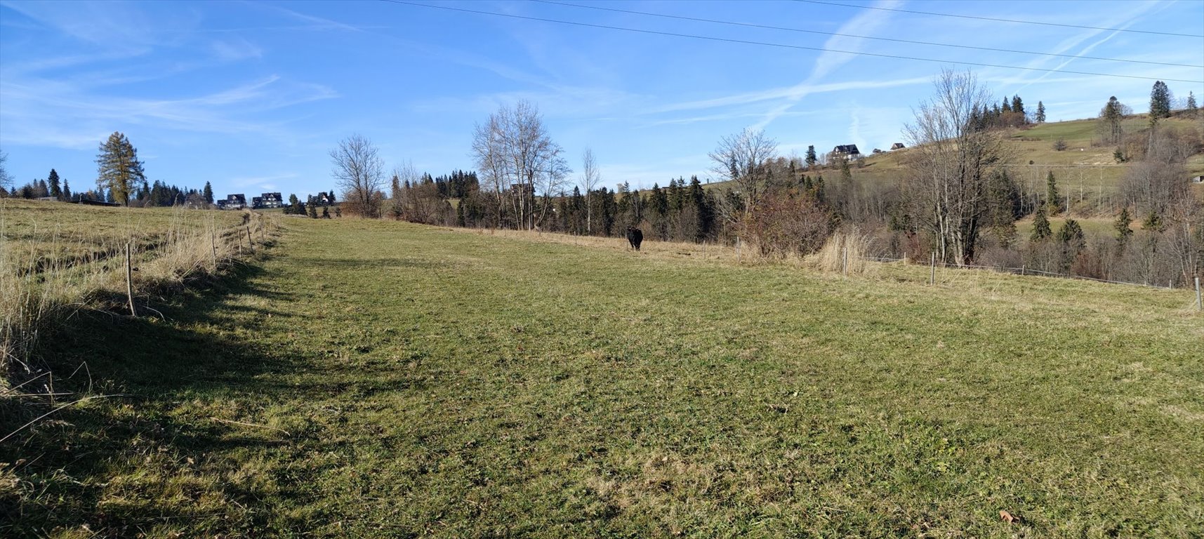 Działka inna na sprzedaż Bukowina Tatrzańska, Bukowina Tatrzańska  1 500m2 Foto 2