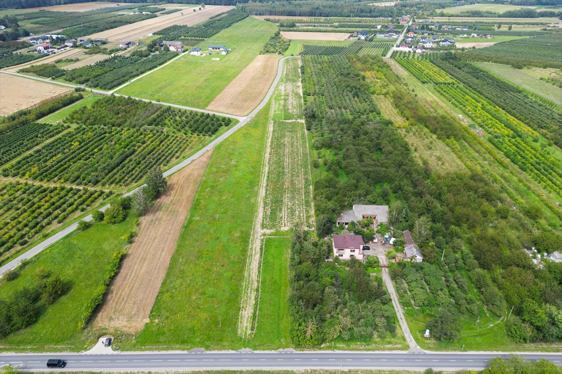 Działka rolna na sprzedaż Marianka  16 800m2 Foto 1