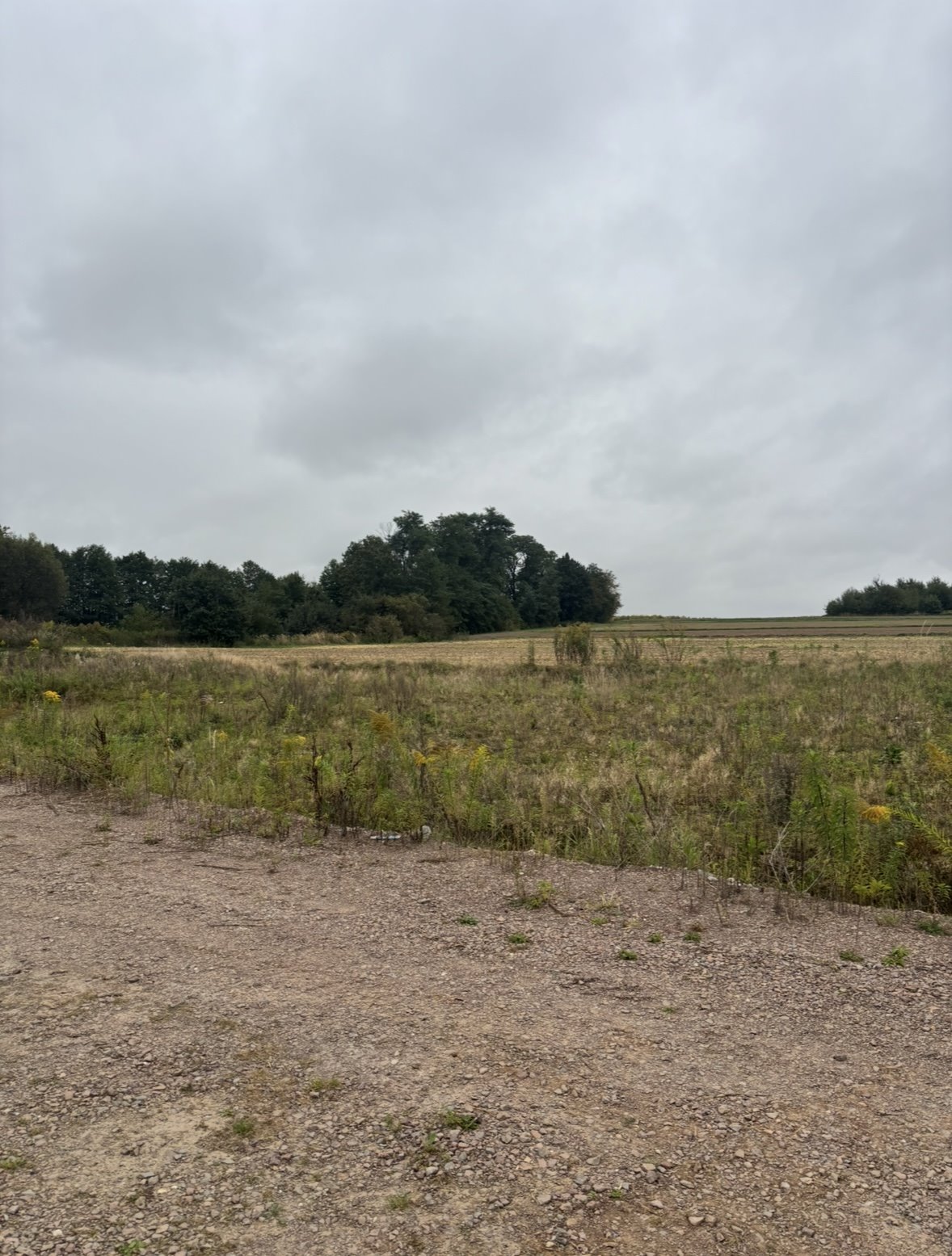 Działka 35 arów z pozwoleniem na dom i halę w Morawicy Morawica  3 500m2 Foto 1