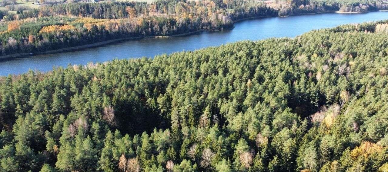 Działka rolna na sprzedaż Bakałarzewo  3 000m2 Foto 9