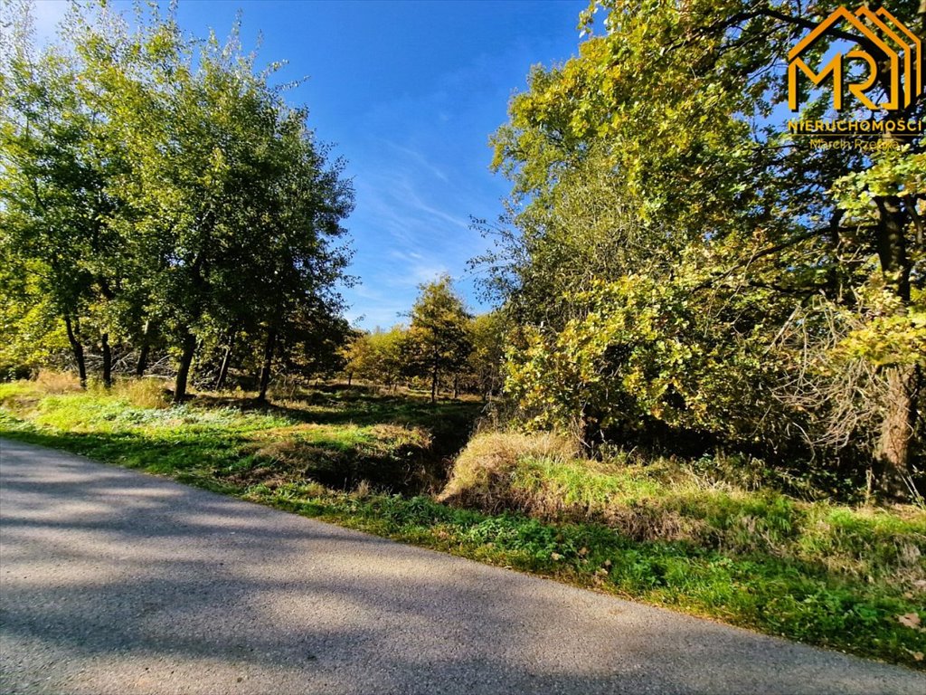 Działka inna na sprzedaż Sutków  15 100m2 Foto 12