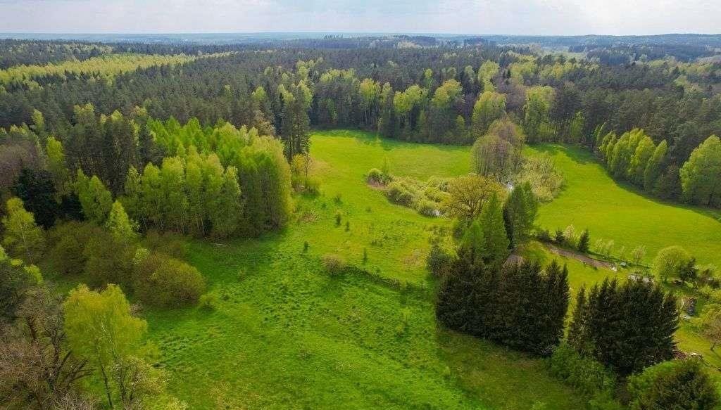 Działka rolna na sprzedaż Jakubowo  3 500m2 Foto 8