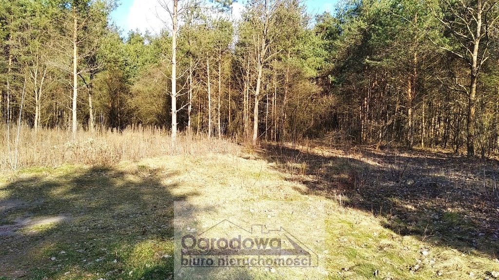 Działka budowlana na sprzedaż Prażmów  3 000m2 Foto 1