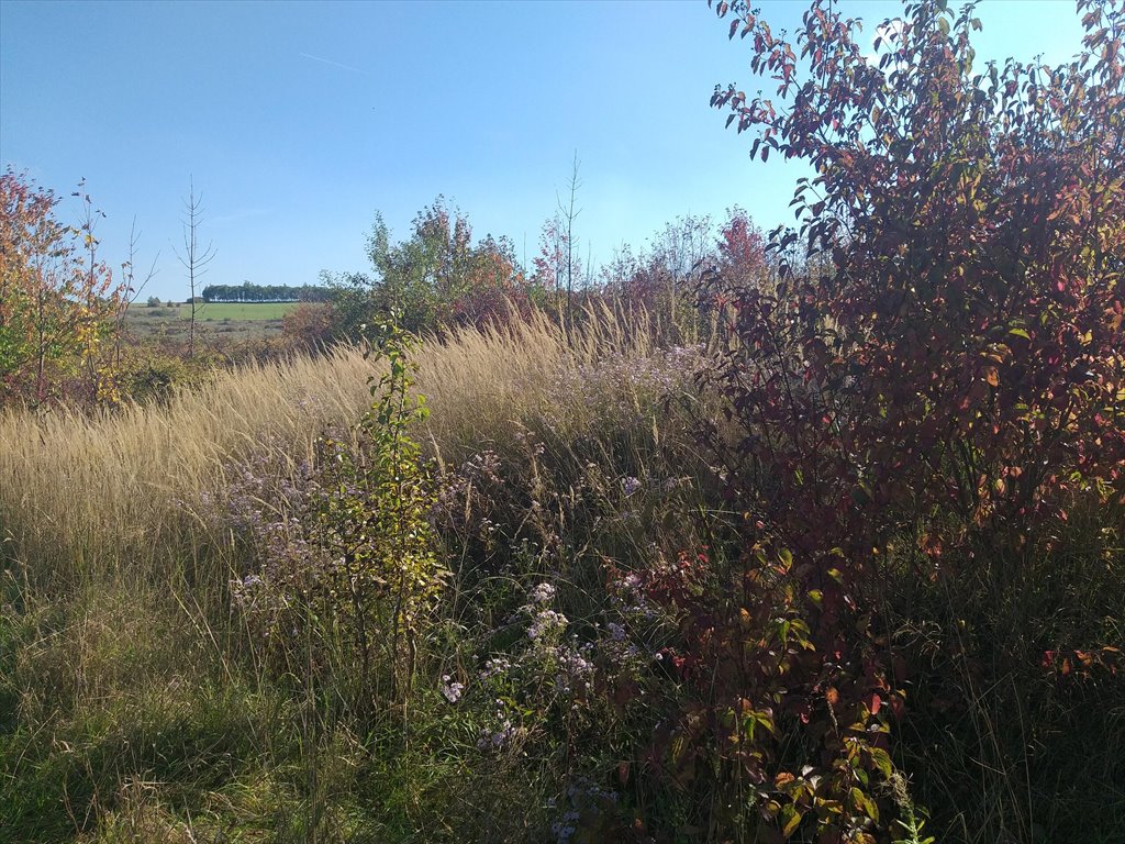 Działka rolna na sprzedaż Makowiska  1 977m2 Foto 6