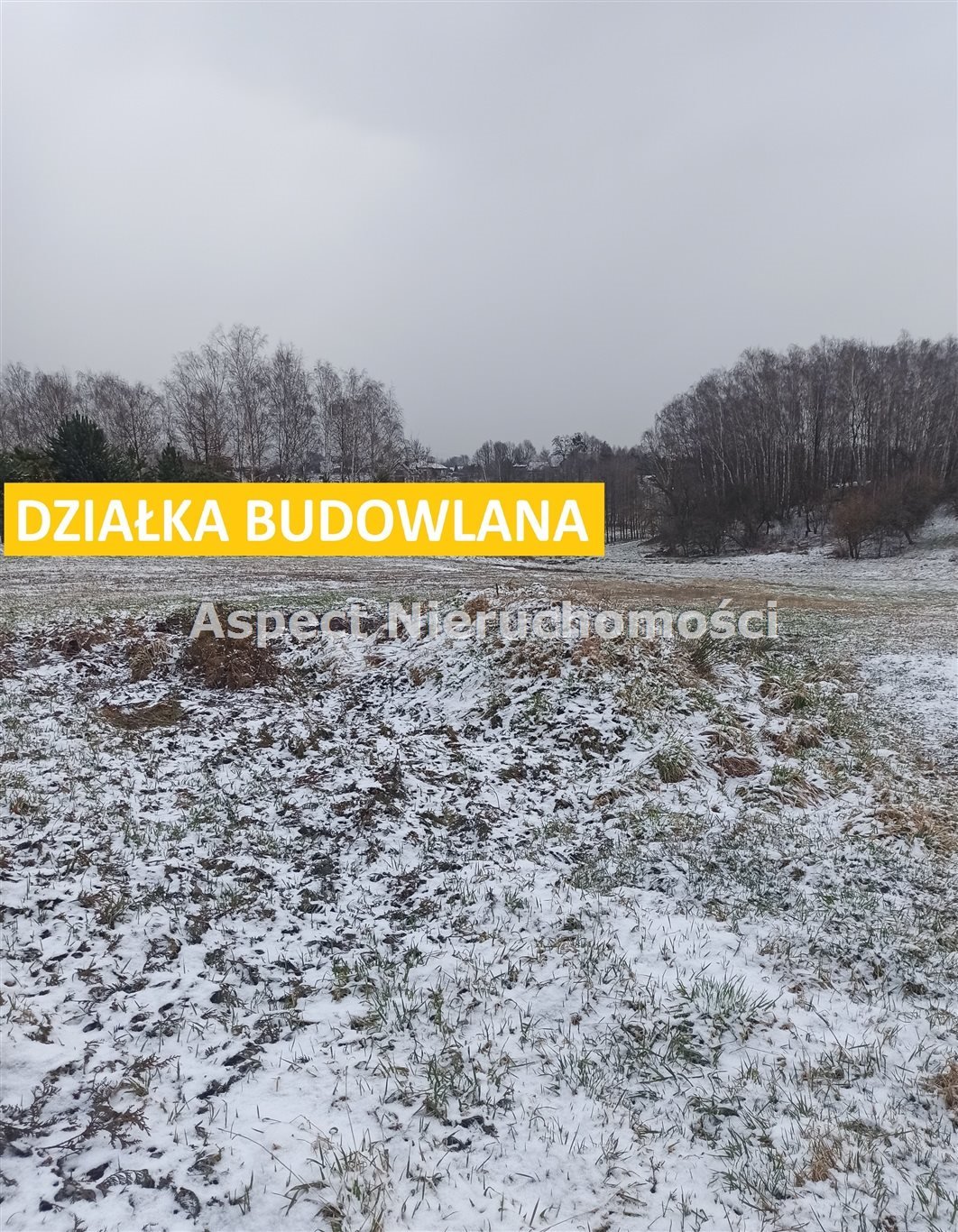 Działka budowlana na sprzedaż Jastrzębie-Zdrój  3 964m2 Foto 2