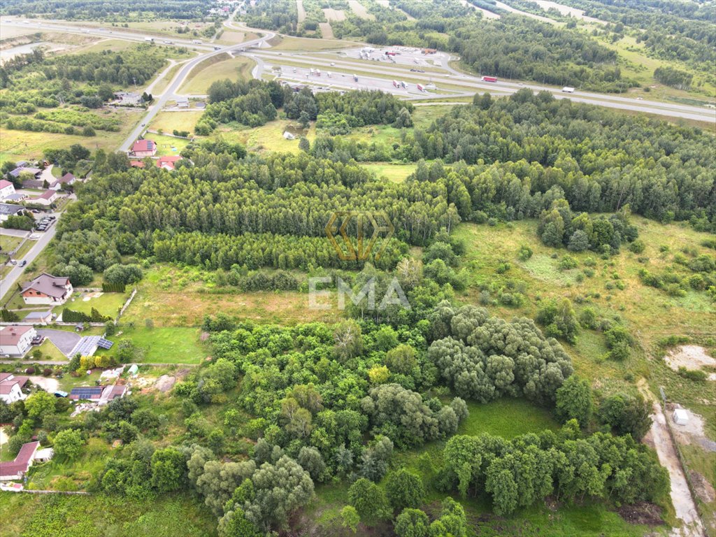 Działka inwestycyjna na sprzedaż Gorzelnia, Wielkoborska  15 130m2 Foto 6