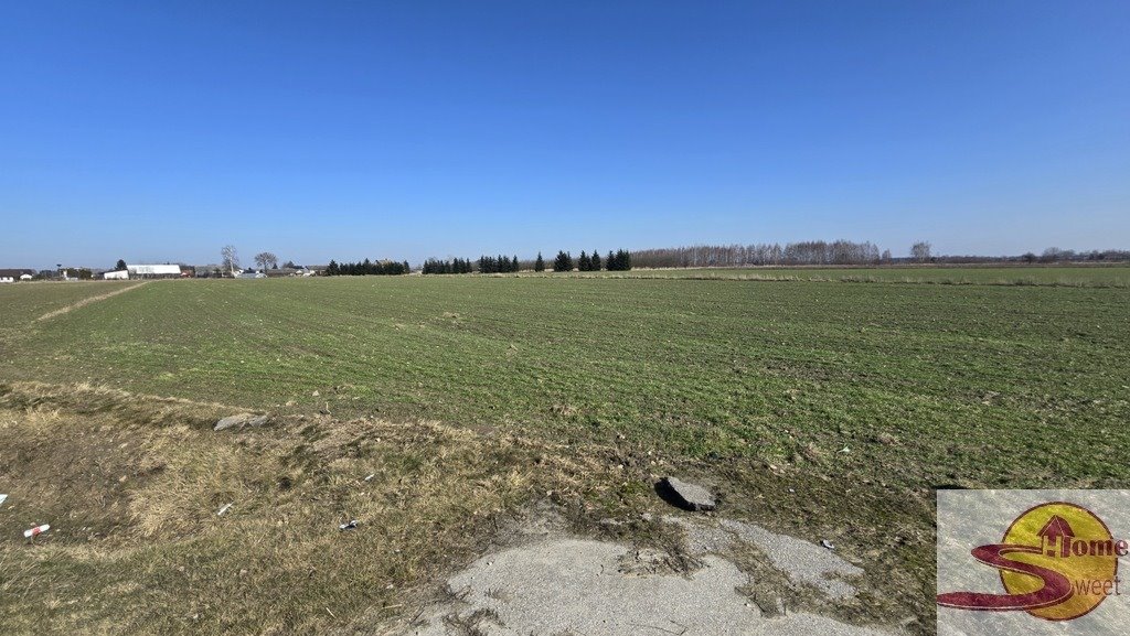 Działka rolna 1,58 ha z dojazdem asfaltowym i szerokością 54 m Kaszewska Wola  15 847m2 Foto 1