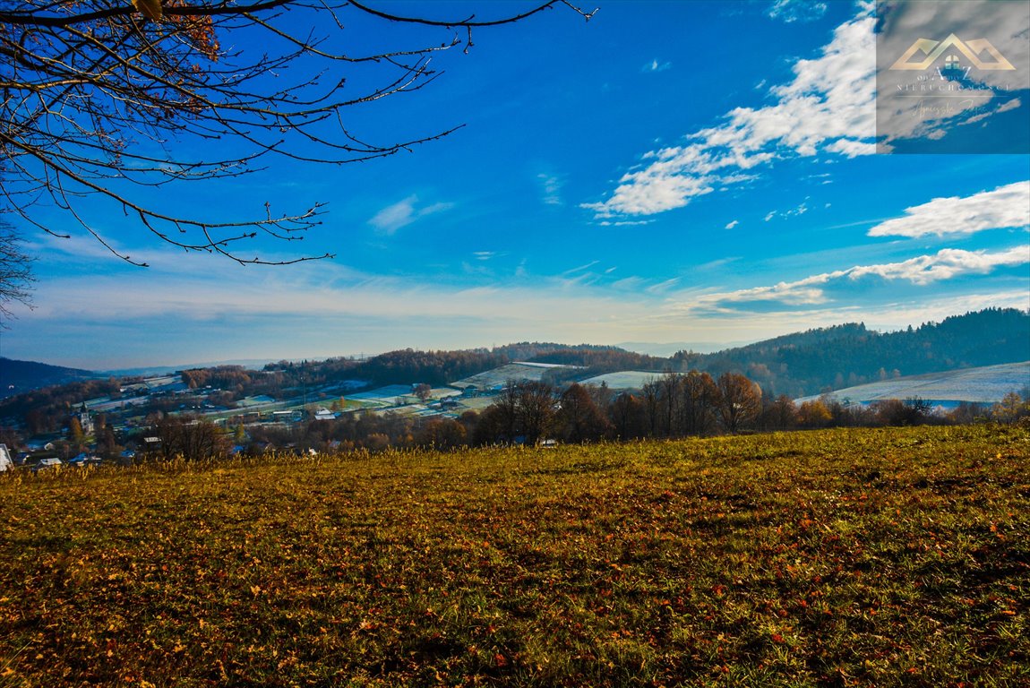 Działka leśna na sprzedaż Olszyny  6 200m2 Foto 3