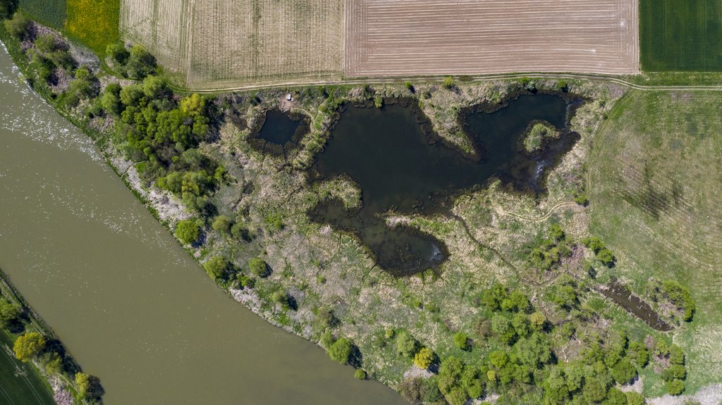 Działka rekreacyjna na sprzedaż Pawłokoma  110 400m2 Foto 14