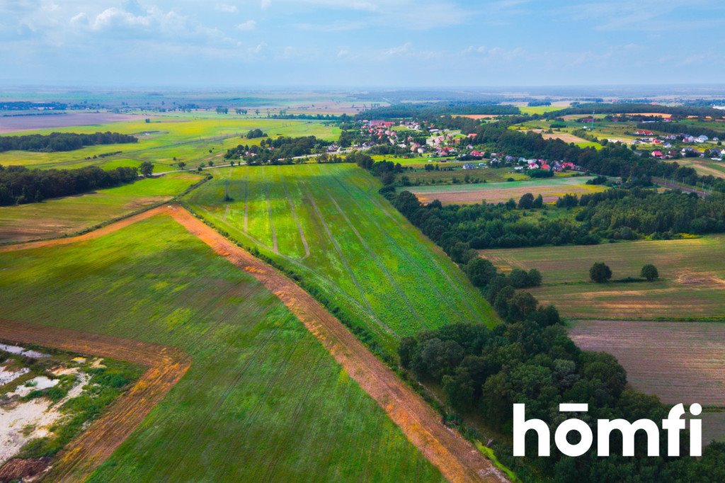 Działka przemysłowo-handlowa na sprzedaż Mazurowice  118 983m2 Foto 8