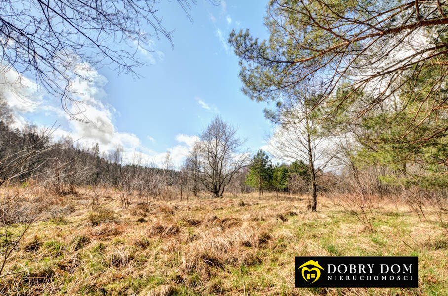 Działka budowlana na sprzedaż Płaska  1 000m2 Foto 5