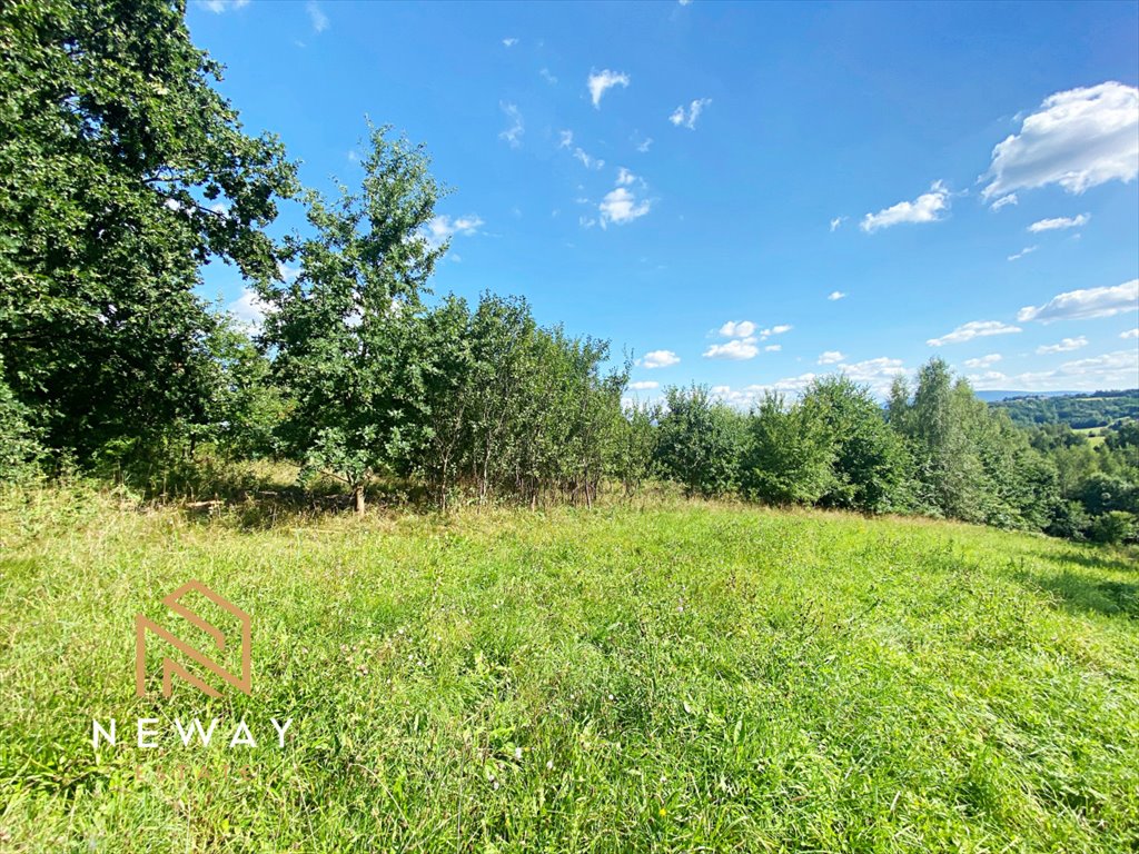 Działka rolna na sprzedaż Sieraków  8 040m2 Foto 3