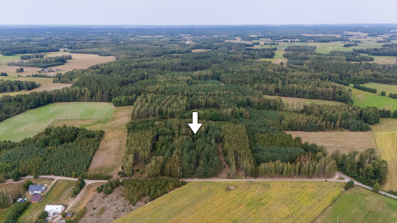 Działka budowlana na sprzedaż Wały  3 928m2 Foto 6