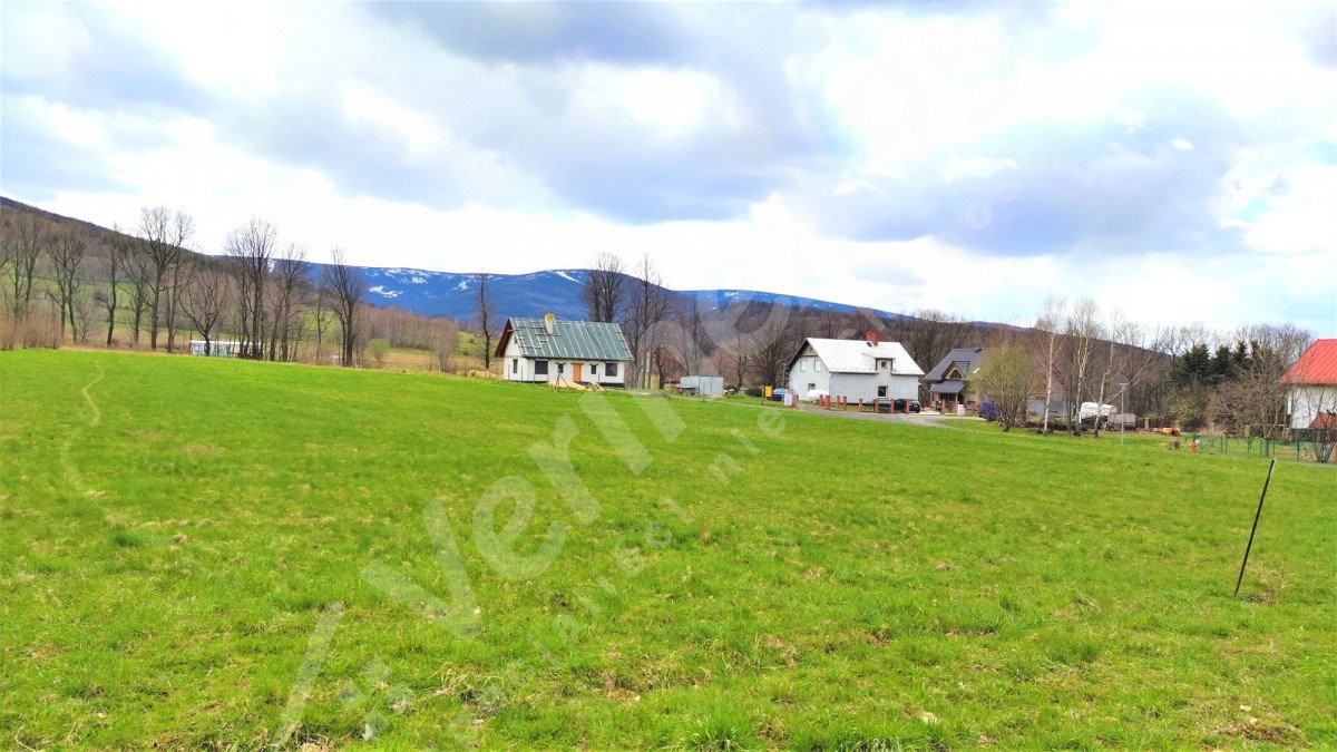 Działka rolna na sprzedaż Krobica  3 000m2 Foto 5