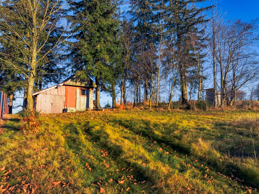 Działka rolna na sprzedaż Zakopane  2 036m2 Foto 18