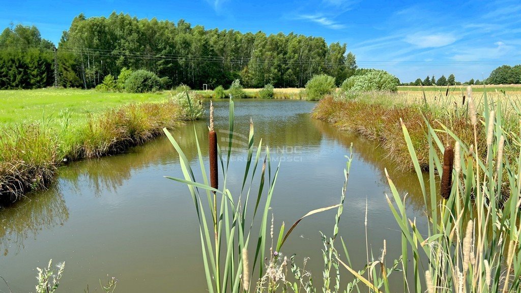 Działka siedliskowa na sprzedaż Henrykowo  144 700m2 Foto 18