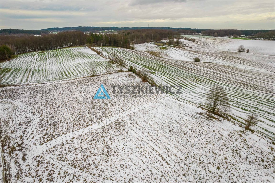 Działka budowlana na sprzedaż Gołubie  1 147m2 Foto 3