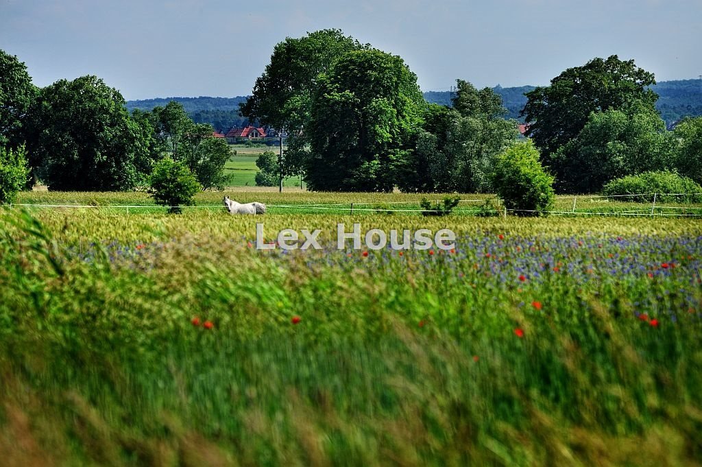 Urokliwa działka rolna 23 562 m² z jeziorami i Puszczą Kołowo  23 562m2 Foto 1